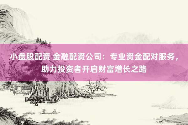 小盘股配资 金融配资公司：专业资金配对服务，助力投资者开启财富增长之路