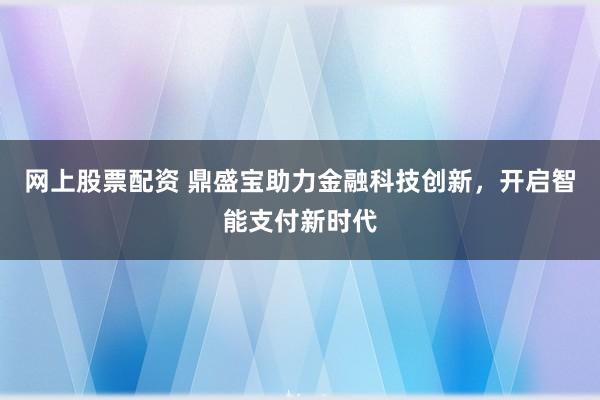 网上股票配资 鼎盛宝助力金融科技创新，开启智能支付新时代