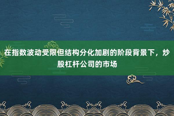 在指数波动受限但结构分化加剧的阶段背景下，炒股杠杆公司的市场
