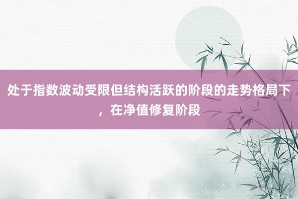 处于指数波动受限但结构活跃的阶段的走势格局下，在净值修复阶段