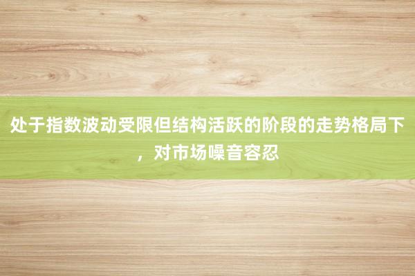 处于指数波动受限但结构活跃的阶段的走势格局下，对市场噪音容忍