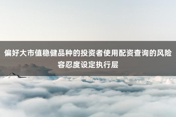 偏好大市值稳健品种的投资者使用配资查询的风险容忍度设定执行层